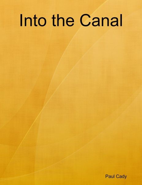 Into the Canal (eBook, ePUB)