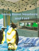 Going Home Nowhere and Fast (eBook, ePUB)