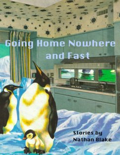 Going Home Nowhere and Fast (eBook, ePUB) - Blake, Nathan