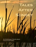 Tales After Sunset (eBook, ePUB)