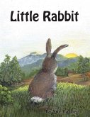 Little Rabbit (eBook, ePUB)