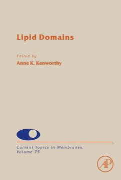 Lipid Domains (eBook, ePUB)