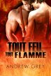 Tout feu, tout flamme (eBook, ePUB) - Bild 1