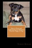 How to Train and Understand your Miniature Pinscher Puppy & Dog