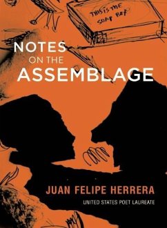 Notes on the Assemblage - Herrera, Juan Felipe