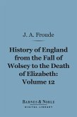 History of England From the Fall of Wolsey to the Death of Elizabeth, Volume 12 (Barnes & Noble Digital Library) (eBook, ePUB)