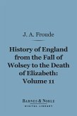 History of England From the Fall of Wolsey to the Death of Elizabeth, Volume 11 (Barnes & Noble Digital Library) (eBook, ePUB)