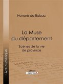 La Muse du département (eBook, ePUB)