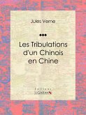 Les Tribulations d'un Chinois en Chine (eBook, ePUB)