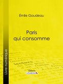 Paris qui consomme (eBook, ePUB)