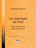 Les passages de Paris (eBook, ePUB)