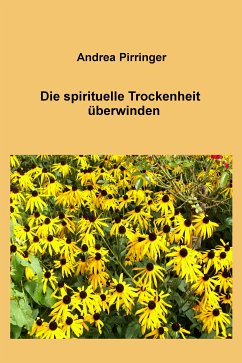 Die spirituelle Trockenheit überwinden (eBook, ePUB) - Pirringer, Andrea