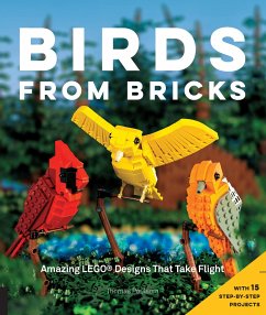 Birds from Bricks - Poulsom, Thomas