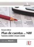 Guía para elaborar plan de cuentas con NIIF (eBook, PDF)