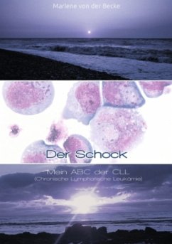 Der Schock - Becke, Marlene von der