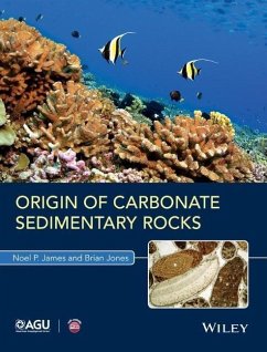 Cover Origin of Carbonate Sedimentary Rocks (eBook, PDF)