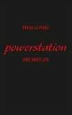 powerstation (eBook, ePUB)