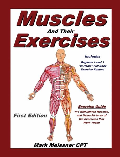 Muscles And Their Exercises Muscles And Their Exercises