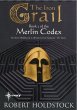 The Iron Grail (eBook, ePUB) - Bild 1