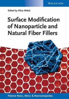 Surface Modification of Nanoparticle and Natural Fiber Fillers (eBook, PDF)