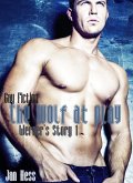 The Wolf At Play (Gay Fiction) (eBook, ePUB)