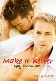 Make It Better (Gay Romance) (eBook, ePUB)
