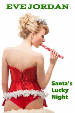 Cover Santa's Lucky Night (eBook, ePUB)