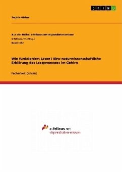 Wie funktioniert Lesen? Eine naturwissenschaftliche Erklärung des Leseprozesses im Gehirn - Aicher, Sophie