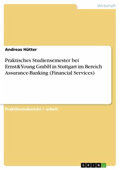 Praktisches Studiensemester bei Ernst&Young GmbH in Stuttgart im Bereich Assurance-Banking (Financial Services) (eBook, PDF)