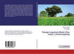 Forage Legumes-Maize (Zea mays L.)Intercropping