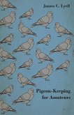 Pigeon-Keeping for Amateurs - A Complete and Concise Guide to the Amateur Breeder of Domestic and Fancy Pigeons (eBook, ePUB)