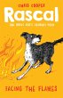 Rascal: Facing the Flames (eBook, ePUB) - Bild 1