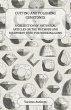 Cutting and Polishing Gemstones - A... - Bild 1