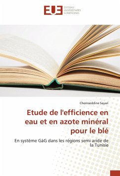 Etude de l'efficience en eau et en azote minéral pour le blé - Sayari, Chemseddine