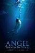 Angel Through the Storms (eBook, ePUB) - Bild 1