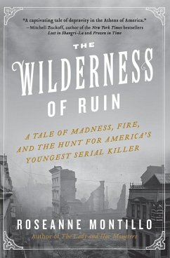 Wilderness of Ruin, The - Montillo, Roseanne