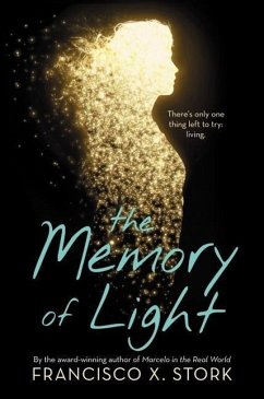 The the Memory of Light - Stork, Francisco X.