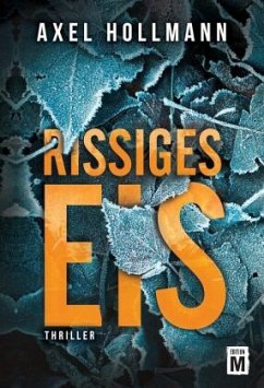 Rissiges Eis - Hollmann, Axel