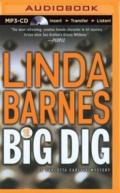 The Big Dig - Barnes, Linda