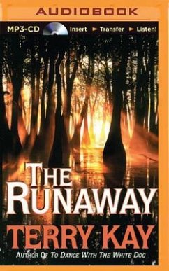The Runaway - Kay, Terry