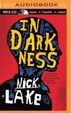 In Darkness - Lake, Nick