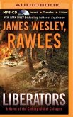 Liberators: A Novel of the Coming Global Collapse