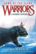 Warriors: Dawn of the Clans #5: A... - Bild 1