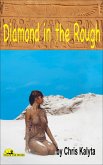 Diamond in the Rough (eBook, ePUB)