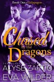 Galapagos (Chased by the Dragons, #1) (eBook, ePUB)