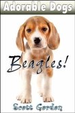 Adorable Dogs: Beagles (eBook, ePUB)