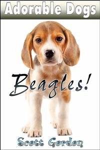 Adorable Dogs: Beagles (eBook, ePUB) - Gordon, Scott