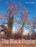 Black Poplar (eBook, ePUB)