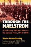 Through the Maelstrom (eBook, ePUB)