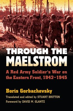 Cover Through the Maelstrom (eBook, ePUB)